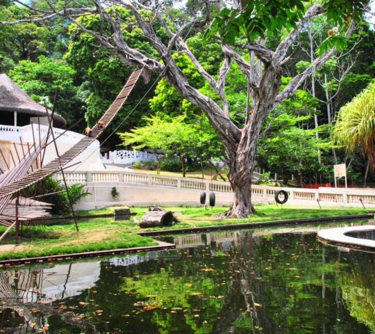 Parque Zoobotânico Arruda Câmara (Bica)
